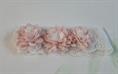 FASCIA ABEL&LULA 5427 PIZZO FIORE ROSA